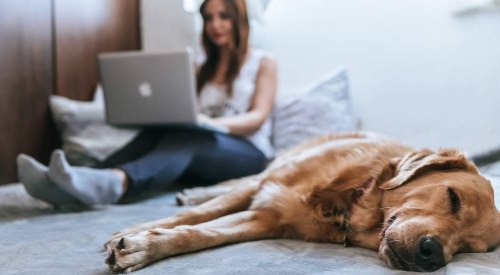 Remote Support